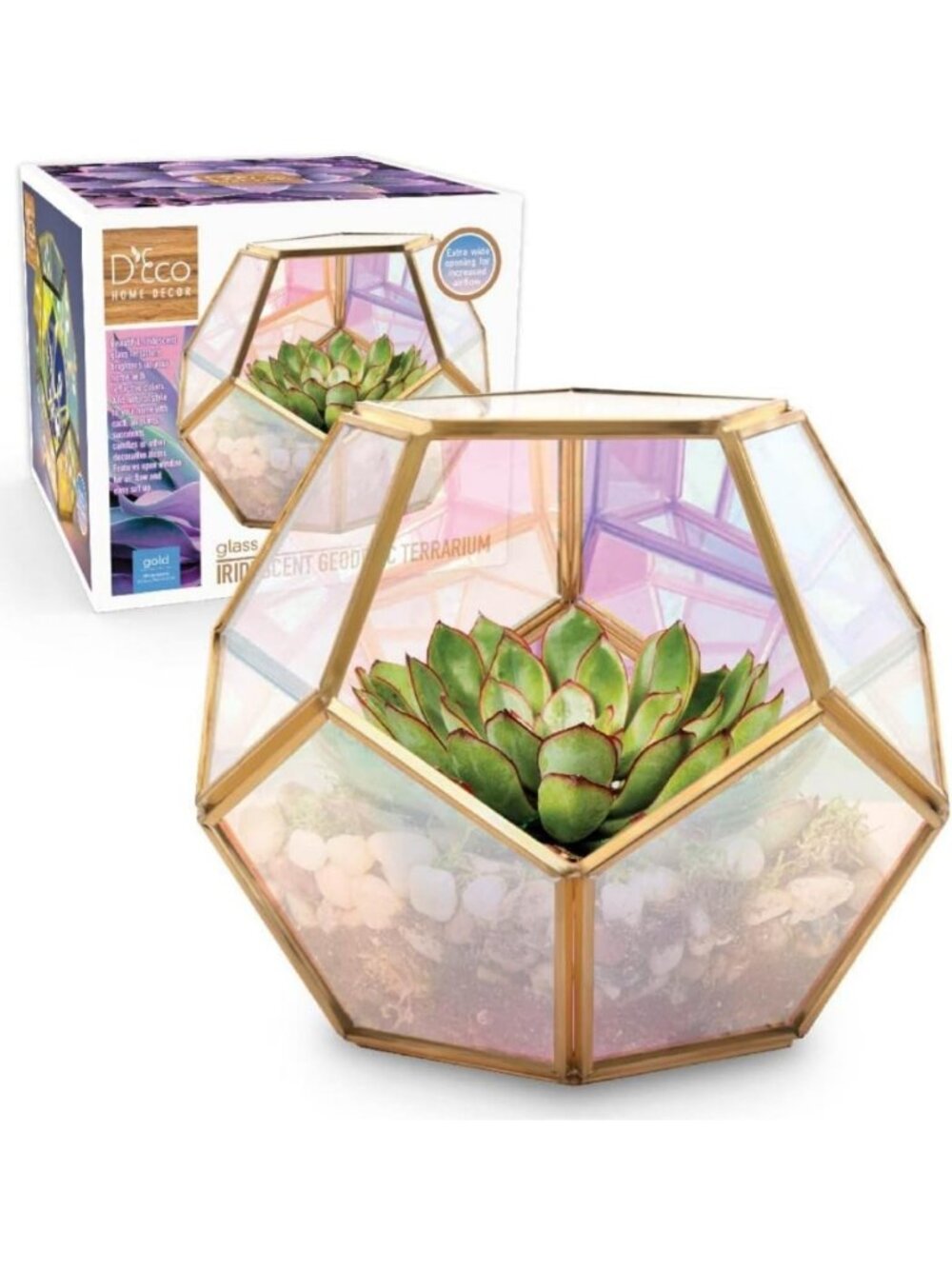 Iridescent Glass Sphere Plant Terrarium & Centerpiece for Home Decor, Unique